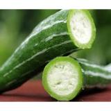 Hạt giống Lặc lày