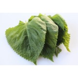 Hạt giống rau thơm mè Hàn Quốc