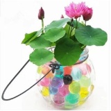[HCM]Hạt Giống Sen Nhật Mini (10 hạt - nhiều màu)
