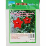 HOA TÓC TIÊN (DÂY LEO) PN28- 0.5G