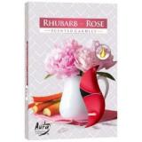 Hộp 6 nến thơm Tealight Bispol Rhubarb Rose BIS1984(Hương hoa hồng đại hoàng gia)