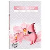 Hộp 6 nến thơm Tealight Bispol Wild Orchid BIS1700 (Hương hoa địa lan)