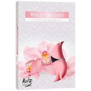 Hộp 6 nến thơm Tealight Bispol Wild Orchid BIS1700 Hương hoa địa lan thumbnail