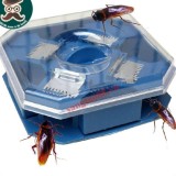 Dụng cụ bắt gián