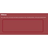 Jotun - Sơn Phủ Nội và Ngoại Thất Trung Cấp - Essence - Ngoại Thất Bền Đẹp - 5 Lít - Hibiscus - 2731