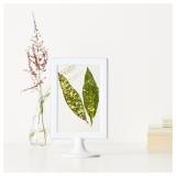 [HCM]Khung ảnh 2 mặt IKEA TOLSBY