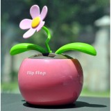 [HCM]LỌ CHẬU cây HOA NĂNG LƯỢNG MẶT TRỜI