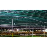 Lưới che lan, lưới che nắng (5x2m)