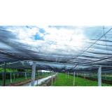Lưới che lan, lưới che nắng (5x2m)