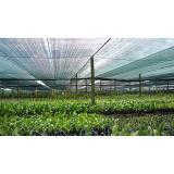 Lưới che lan, lưới che nắng (5x2m)