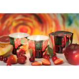Ly nến thơm Bartek Candles BAT4824 Fruits 100g (Hương hoa quả)