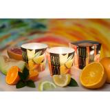 Ly nến thơm Bartek Candles BAT4824 Fruits 100g (Hương hoa quả)