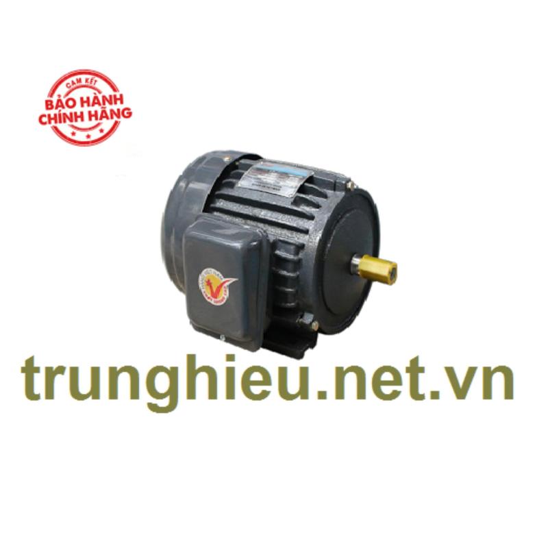 Motor vỏ gang chân đế Hồng Ký - JET 2.2KW