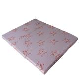 Nệm đơn Musse ép GẤP 3 - VĂN PHÒNG 65X180X2CM