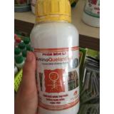 Phân bón amino quelant - b 500ml