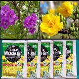Bộ 10 gói Phân bón lá MIRACLE-GRO 15-30-15 (10gram, dể sử dụng).