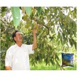 Phân dơi khô bón cây gói 75g