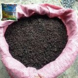 Phân dơi khô bón cây gói 75g