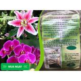 Phân hữu cơ Hà Lan cao cấp AgiGold
