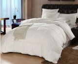 Ruột chăn lông vũ Microfiber 2.2x2.4m