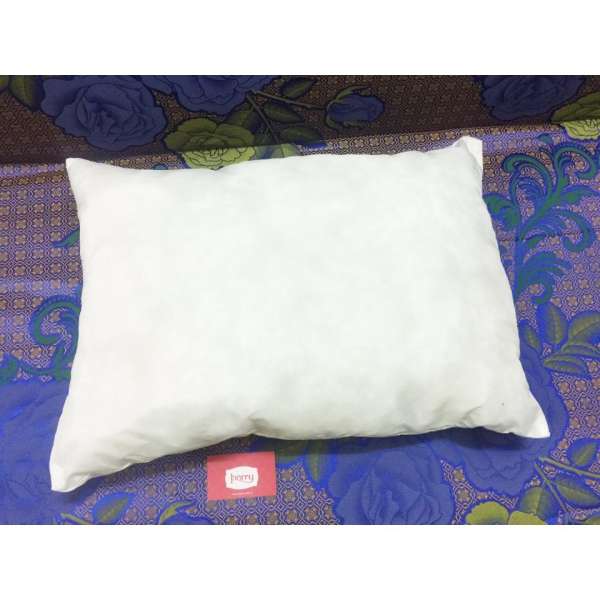 Ruột gối nằm 45cm x 65cm - 0,7 kg (Trắng)