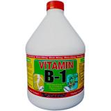 SIÊU RA RỄ TOPAGRI B1 2 LÍT (VÀNG) CHUYÊN PHONG LAN