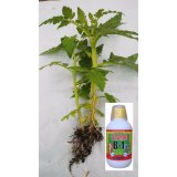 SIÊU RA RỄ TOPAGRI B1 2 LÍT (VÀNG) CHUYÊN PHONG LAN