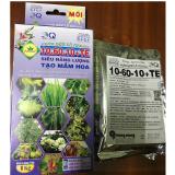 Siêu tạo mầm hoa phân bón lá Arrow 10 - 60 - 10 + TE (1Kg) (4 gói 250g bên trong hộp)