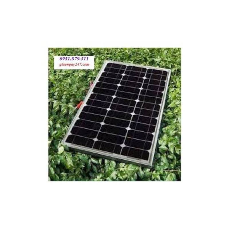 Bảng giá Tấm Pin Năng Lượng Mặt Trời Mono 100W