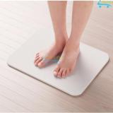 Thảm chùi chân siêu thấm bằng hóa thạch Diatomite Imat IM-60cm