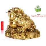 Tượng Thiềm Thừ hay Cóc 3 chân Siêu Đại - Chất liệu đồng thau nặng 2,5kg cao 25cm ( Linh vật phong thủy hút tài lộc)