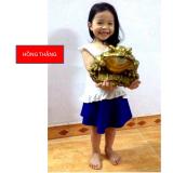 Tượng Thiềm Thừ hay Cóc 3 chân Siêu Đại - Chất liệu đồng thau nặng 2,5kg cao 25cm ( Linh vật phong thủy hút tài lộc)