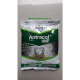Thuốc diệt nấm antracol 70wp 100g