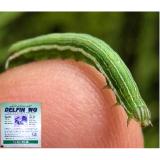 3 gói Thuốc trừ sâu vi khuẩn Delfin WG an toàn cho gia đình trồng rau sạch vi sinh Bacillus thuringiensis USA (10g x 3 gói)