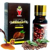TINH DẦU CÀ PHÊ ( COFFEE)  ẤN ĐỘ