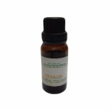 Tinh dầu gừng Viện nông nghiệp Nhiệt Đới 10ml