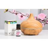 Geranium Essential Oil