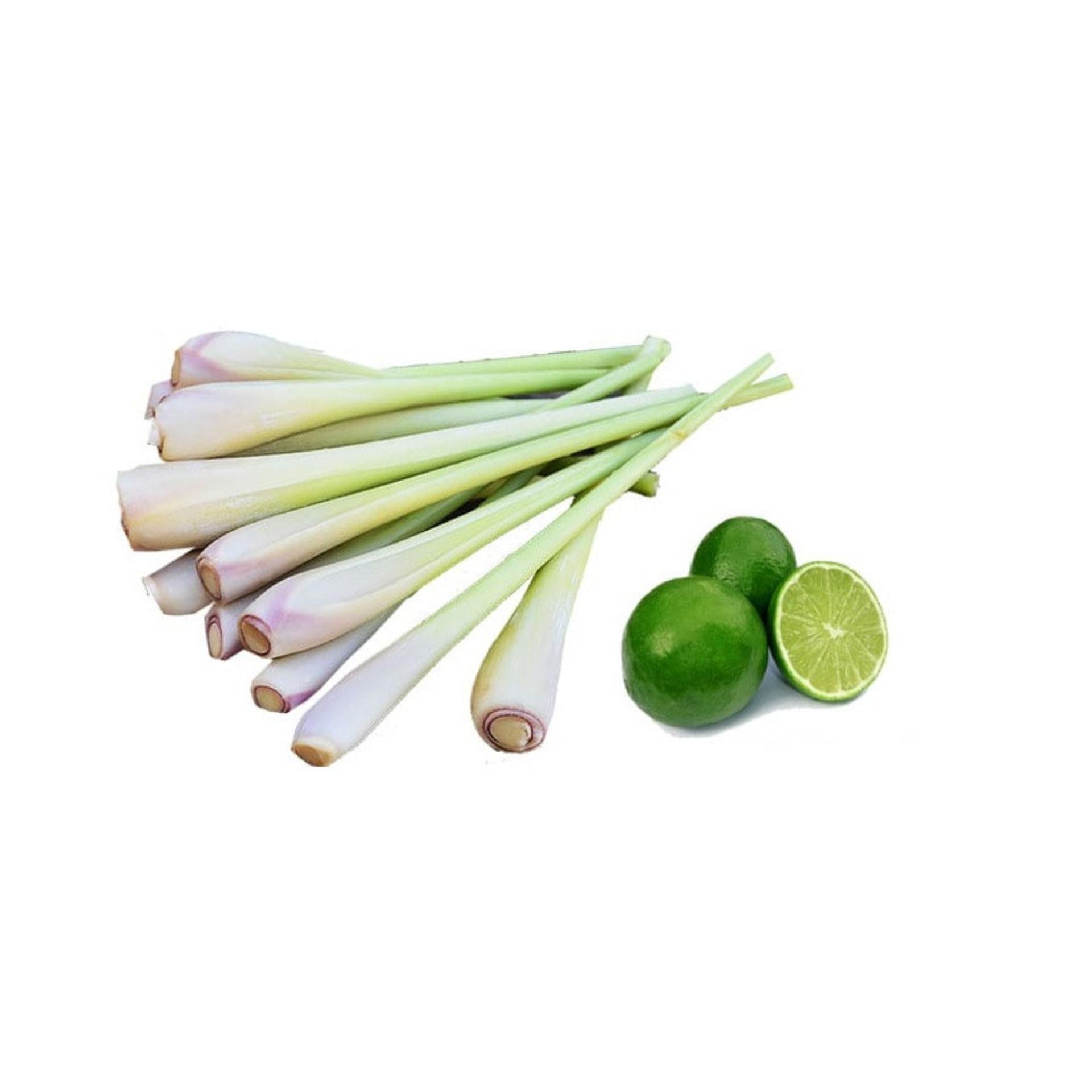 Tinh dầu sả chanh nguyên chất lọ 10ml
