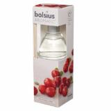 Tinh dầu tán hương Bolsius Reed diffuser BOL3397 45ml (Hương quả việt quất)
