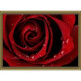 Tranh dán tường 3D VTC Hoa hồng đỏ FL0111K