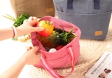 Túi Giữ Nhiệt 2 Ngăn Loại Lớn (Hồng)