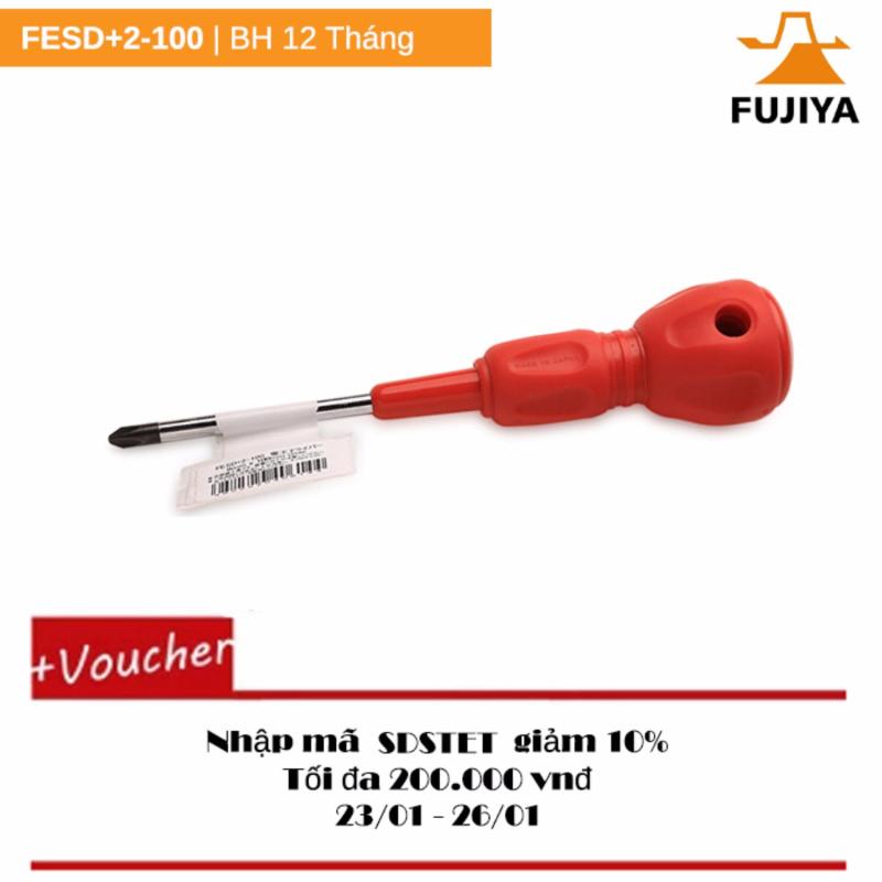 Tuốc nơ vít kỹ thuật điện Fujiya FESD+2-100
