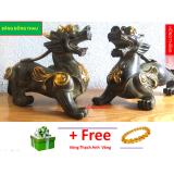 Bronze statuette Pixiu - Material brass weight 2400g long 20cm height 14cm - Feng Shui fortune fortune and chemical gas