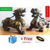 Piuxiu statuette Bronze Medallion - Material brass weight  2400g long 20cm height 14cm - Feng Shui fortune and chemical gas