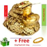 Tượng Thiềm thừ lớn - Chất liệu bằng đồng thau cao 13.5cm (Cóc ba chân linh vật phong thu
