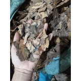 Vỏ thông đỏ đã mài cạnh 1kg
