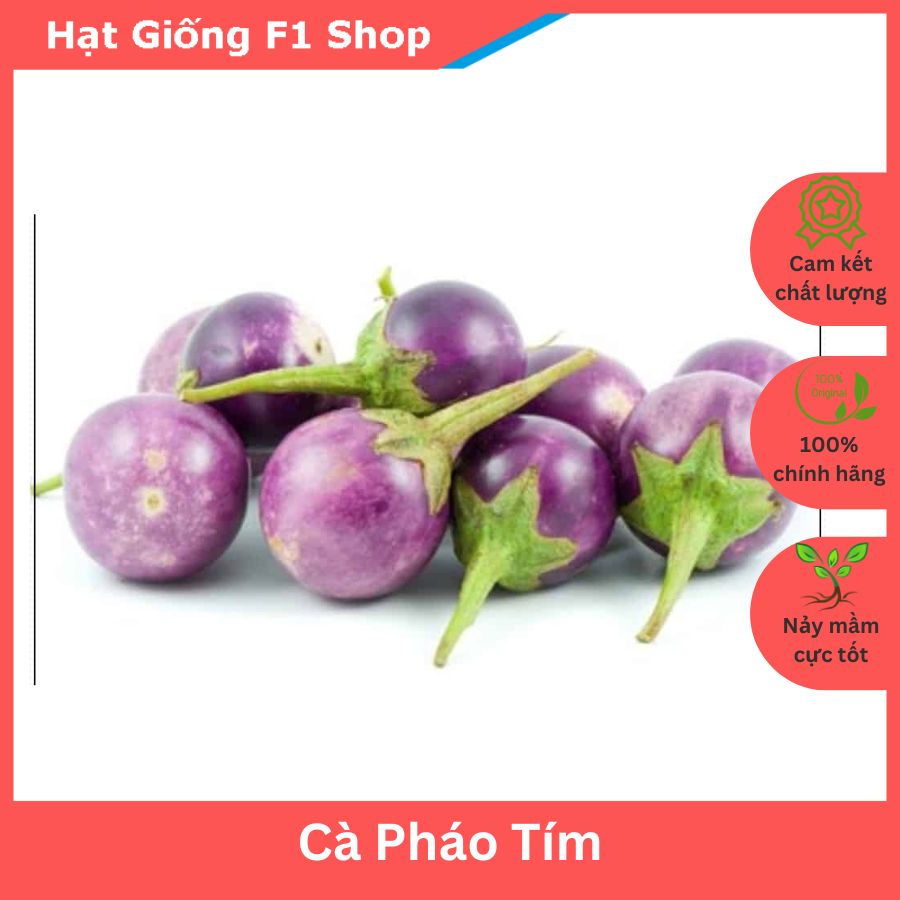 Hạt Giống Cà Pháo Tím Giòn Ngon