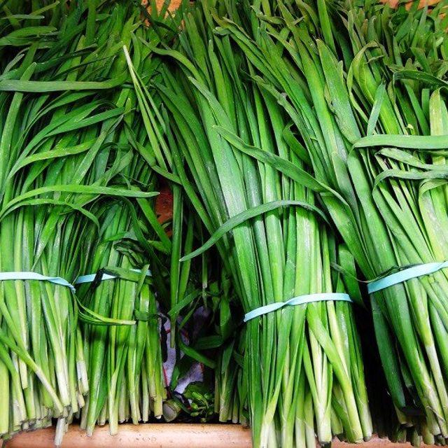 [HCM]Gói 1g hạt giống lá hẹ tây