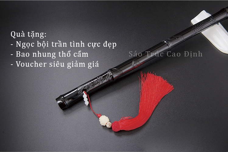 Sáo Trúc Trần Tình Hoa Văn Bản Gốc