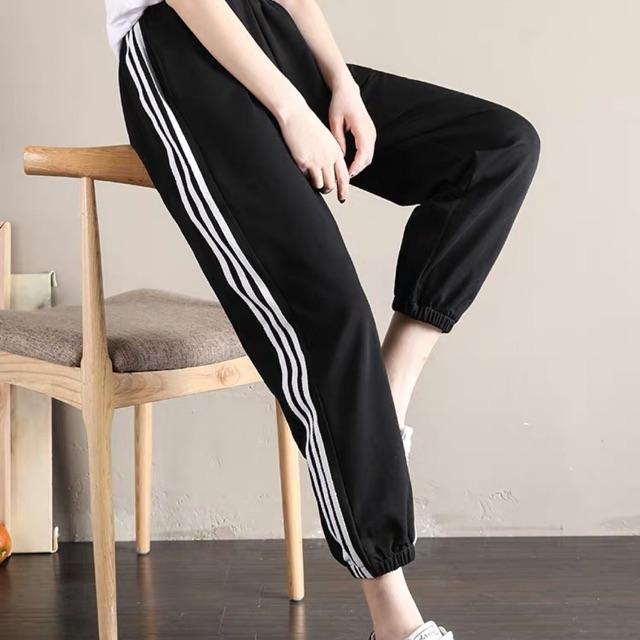 Quần nữ 3 sọc bo ống dtr0719